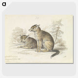 2-5_Charles-Hamilton-Smith_picture-crop