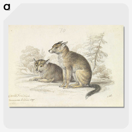2-5_Charles-Hamilton-Smith_picture-crop
