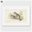 2-5_Charles-Hamilton-Smith_picture