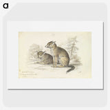 2-5_Charles-Hamilton-Smith_picture