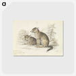 2-5_Charles-Hamilton-Smith_postcard