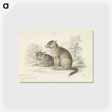 2-5_Charles-Hamilton-Smith_postcard