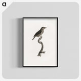 2-5_Des-Oiseaux-de-Paradis_blk-crop