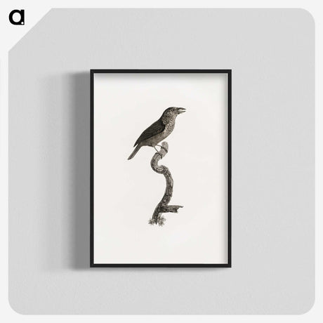 2-5_Des-Oiseaux-de-Paradis_blk-crop