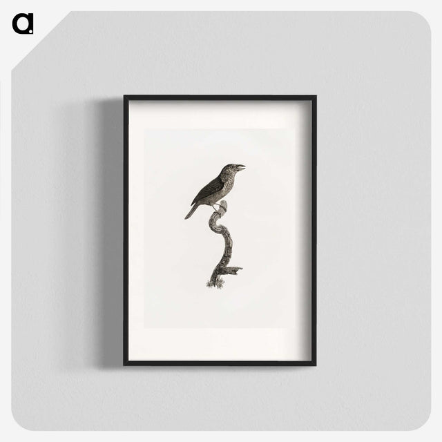 2-5_Des-Oiseaux-de-Paradis_blk