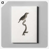 2-5_Des-Oiseaux-de-Paradis_canvas
