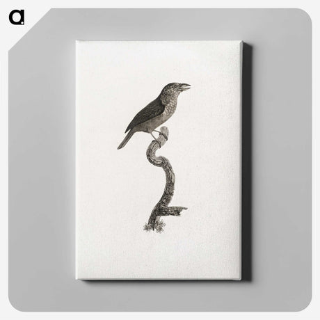 2-5_Des-Oiseaux-de-Paradis_canvas