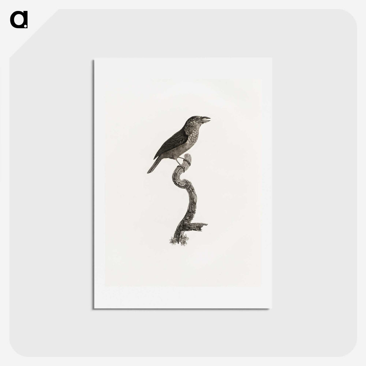 2-5_Des-Oiseaux-de-Paradis_hagaki