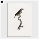 2-5_Des-Oiseaux-de-Paradis_picture-crop