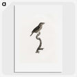 2-5_Des-Oiseaux-de-Paradis_picture