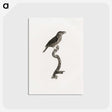 2-5_Des-Oiseaux-de-Paradis_postcard