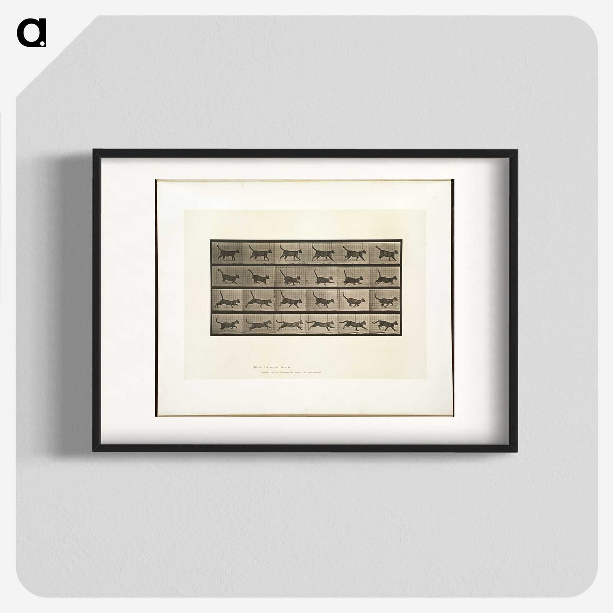 2-5_Eadweard-Muybridge_blk