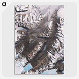 2-5_Earth-from-Above_picture-crop