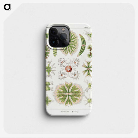 2-5_Ernst-Haeckel_phone