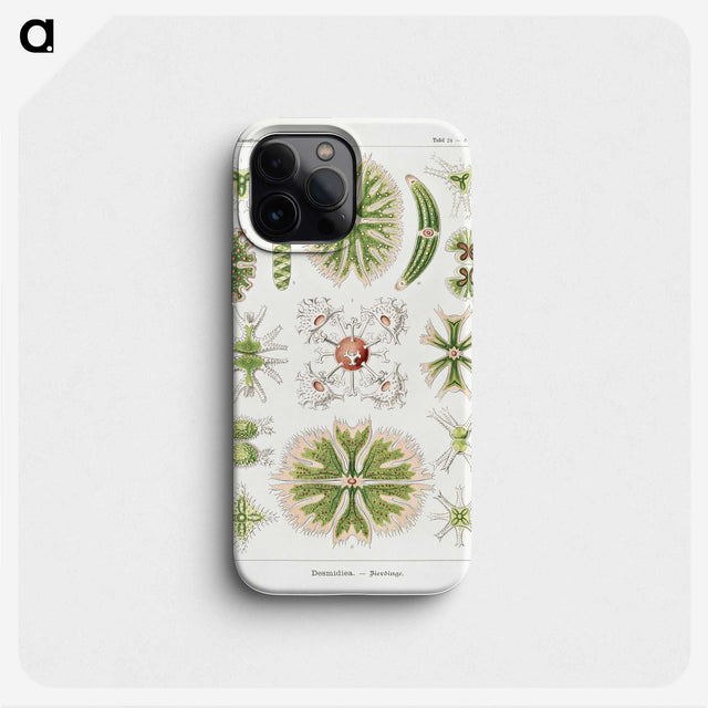 2-5_Ernst-Haeckel_phone