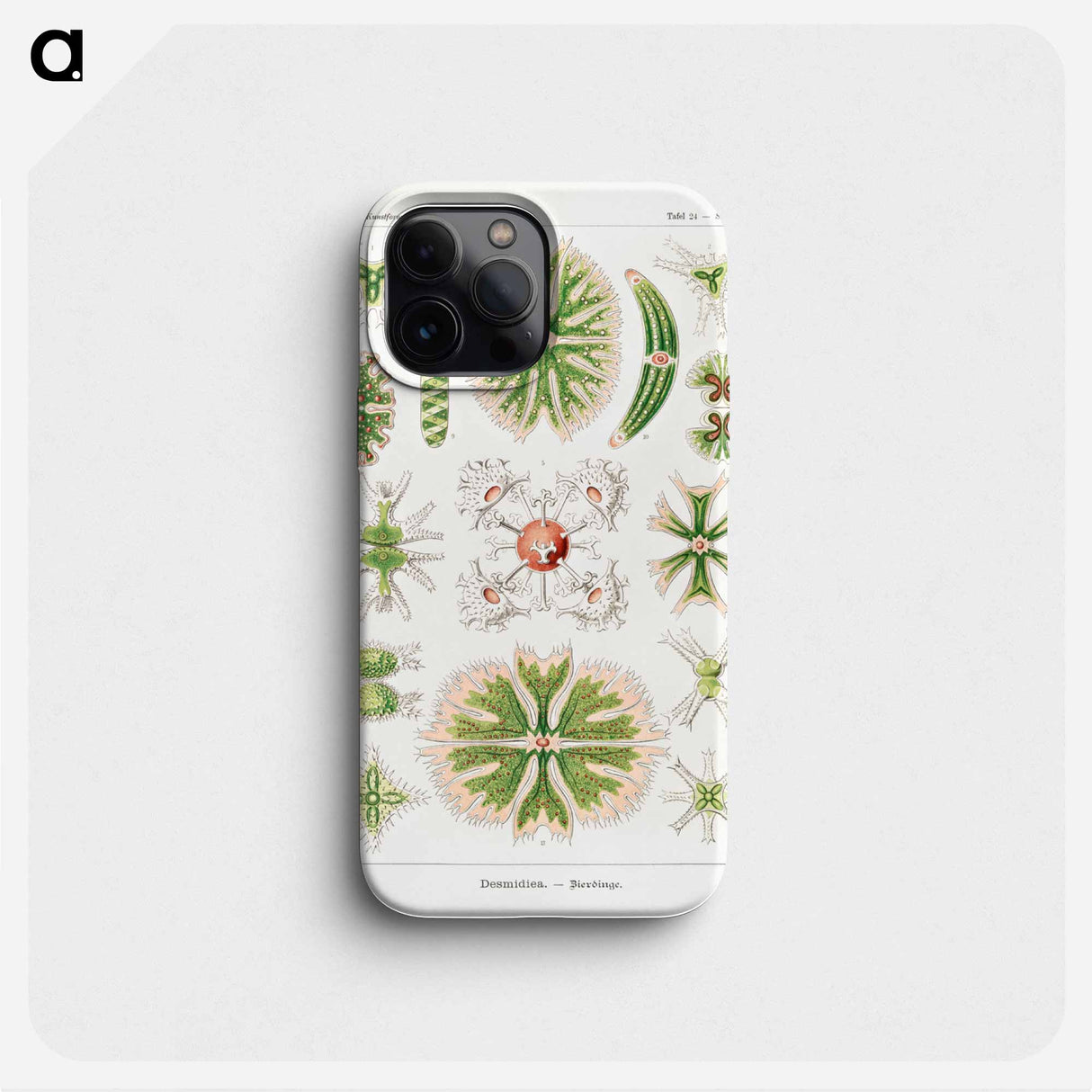 Desmidiea–Bierdinge from Kunstformen der Natur - エルンスト ヘッケル Phone Case.