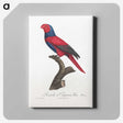 2-5_Francois-Levaillant_canvas