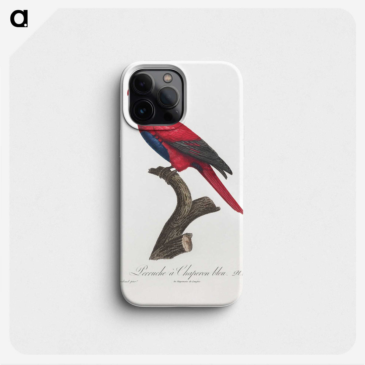 2-5_Francois-Levaillant_phone