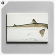2-5_Frank-Edward-Clarke_canvas