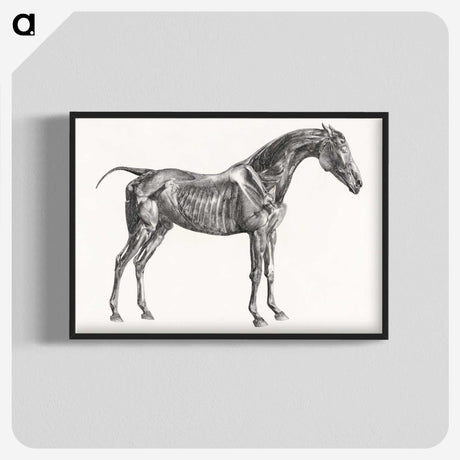 2-5_George-Stubbs_blk-crop