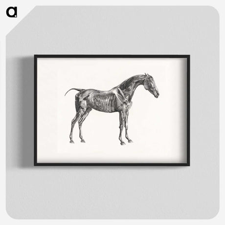 2-5_George-Stubbs_blk