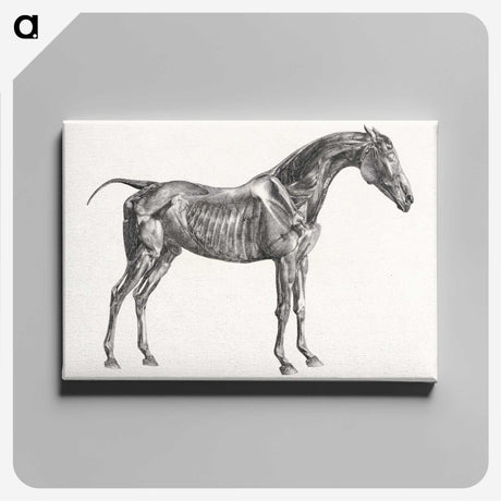 2-5_George-Stubbs_canvas