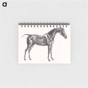 アートメモ帳-The Anatomy of the Horse
 - ジョージ スタッブス Memo.