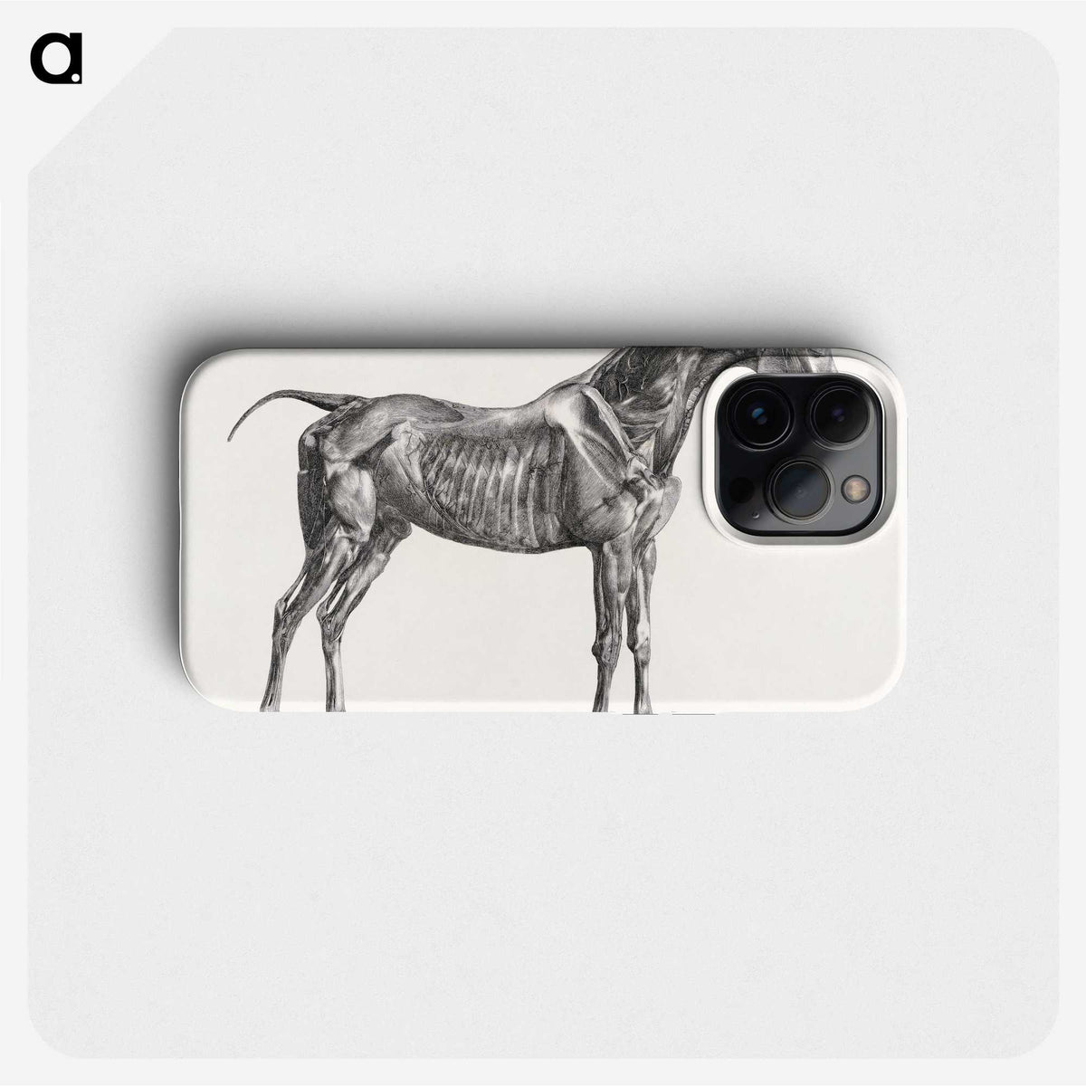 2-5_George-Stubbs_phone