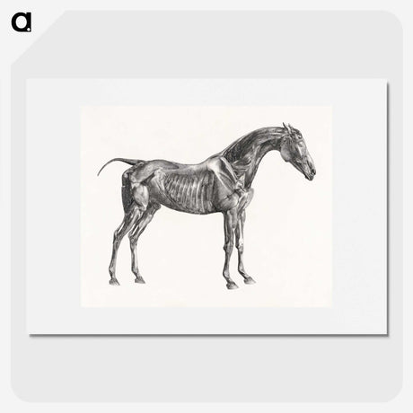 2-5_George-Stubbs_picture