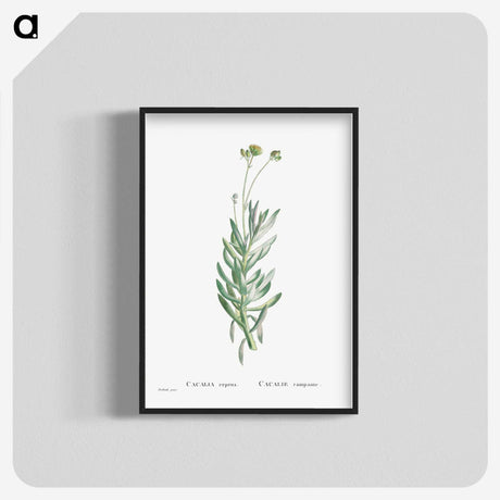 2-5_Histoire-des-Plantes-Grasses_blk-crop