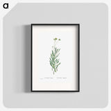 2-5_Histoire-des-Plantes-Grasses_blk