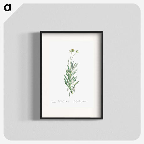 2-5_Histoire-des-Plantes-Grasses_blk