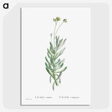 2-5_Histoire-des-Plantes-Grasses_picture-crop