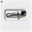 2-5_Ichtyologie-ou-Histoire-naturelle_phone