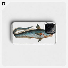 2-5_Ichtyologie-ou-Histoire-naturelle_phone