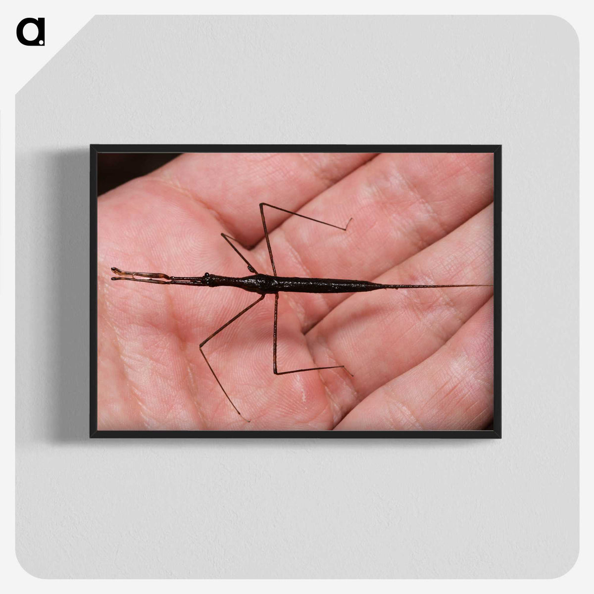 2-5_Insects-Unlocked-Project_blk-crop
