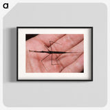 2-5_Insects-Unlocked-Project_blk