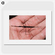 2-5_Insects-Unlocked-Project_picture