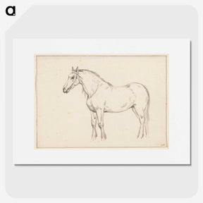2-5_Jean-Bernard_picture
