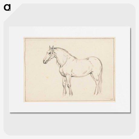 2-5_Jean-Bernard_picture