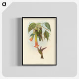 2-5_John-Gould_blk-crop