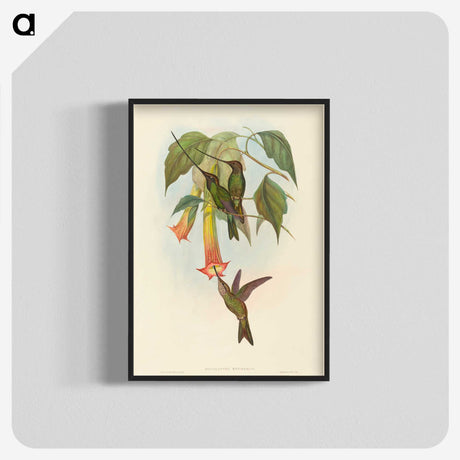 2-5_John-Gould_blk-crop