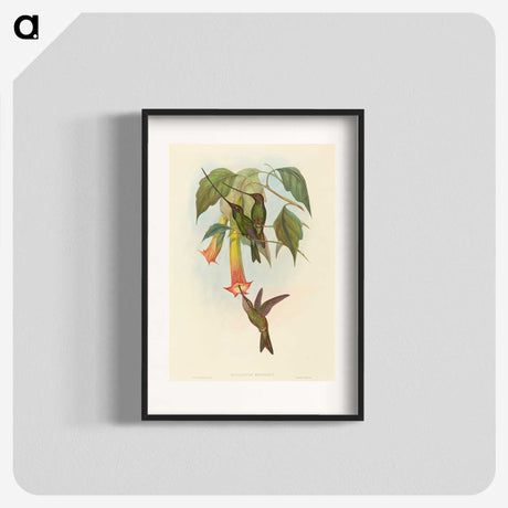 2-5_John-Gould_blk