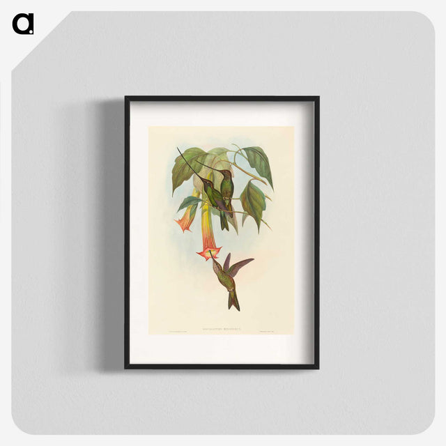 2-5_John-Gould_blk