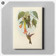 2-5_John-Gould_canvas