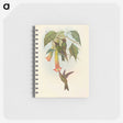 2-5_John-Gould_memo