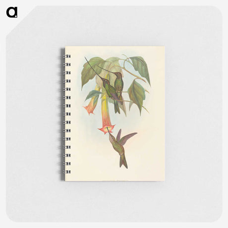 2-5_John-Gould_memo