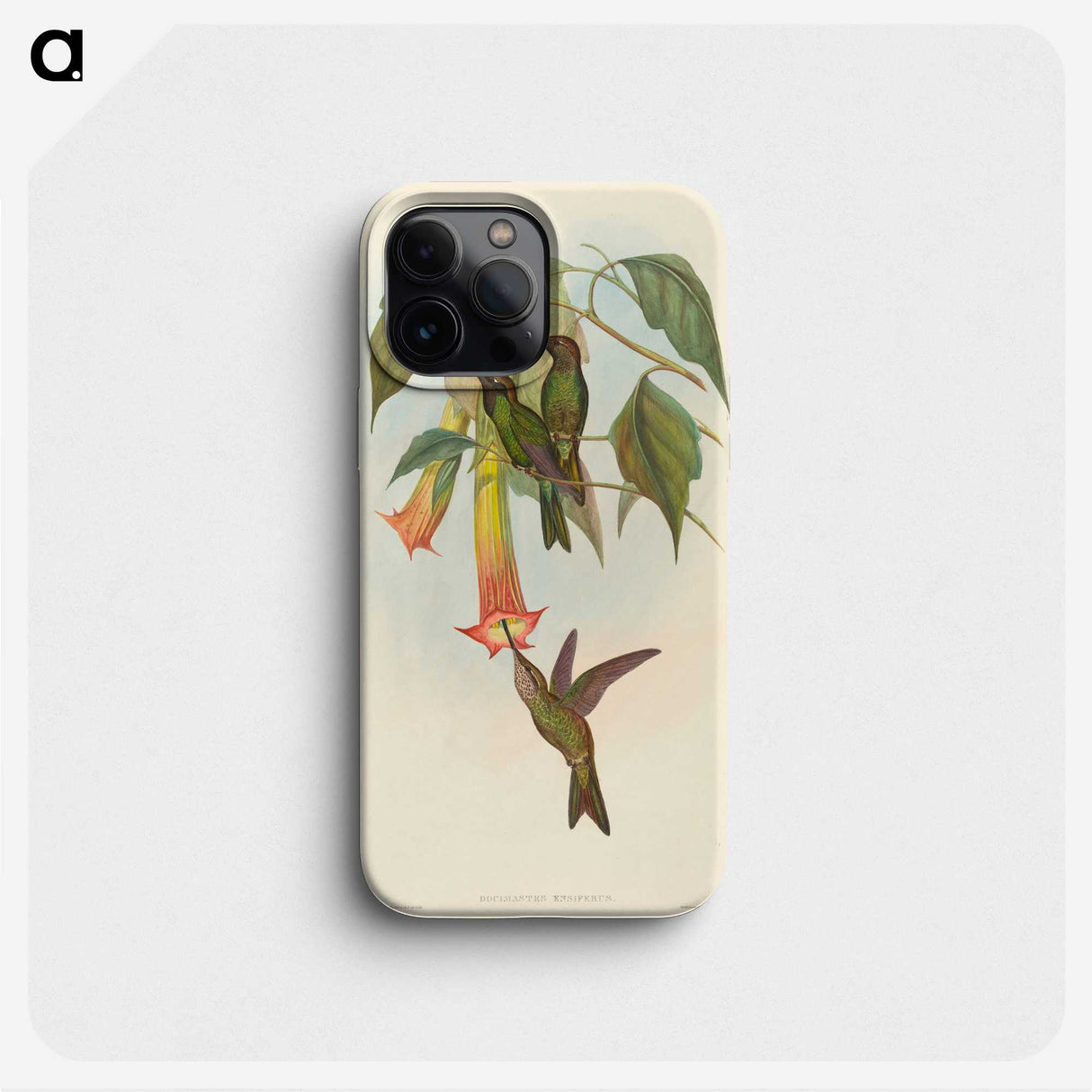 2-5_John-Gould_phone