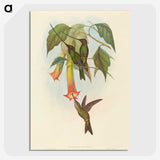 2-5_John-Gould_picture-crop