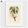 2-5_John-Gould_picture